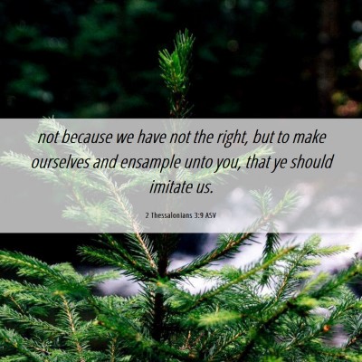 Picture 06 - 2 Thessalonians 3:9 ASV - not because we have not the right, but to make - Bible Verse Picture