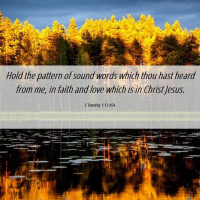 Picture 06 - 2 Timothy 1:13 ASV - Hold the pattern of sound words which thou hast - Bible Verse Picture