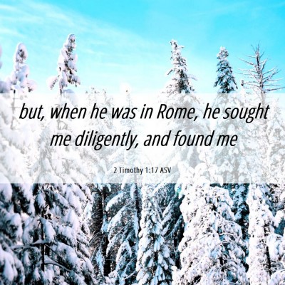 Picture 06 - 2 Timothy 1:17 ASV - but, when he was in Rome, he sought me - Bible Verse Picture
