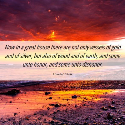 Picture 06 - 2 Timothy 2:20 ASV - Now in a great house there are not only vessels - Bible Verse Picture