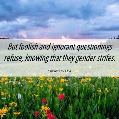 Picture 06 - 2 Timothy 2:23 ASV - But foolish and ignorant questionings refuse, - Bible Verse Picture