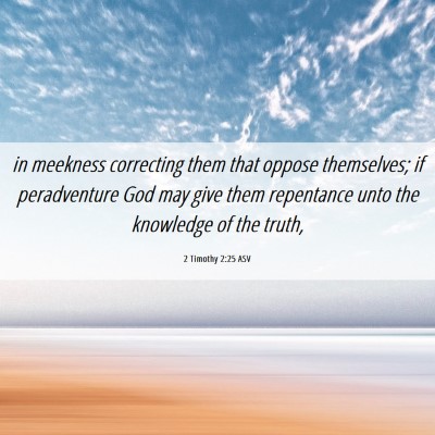 Picture 06 - 2 Timothy 2:25 ASV - in meekness correcting them that oppose - Bible Verse Picture