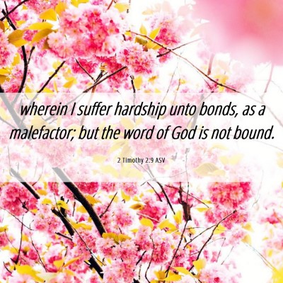 Picture 06 - 2 Timothy 2:9 ASV - wherein I suffer hardship unto bonds, as a - Bible Verse Picture