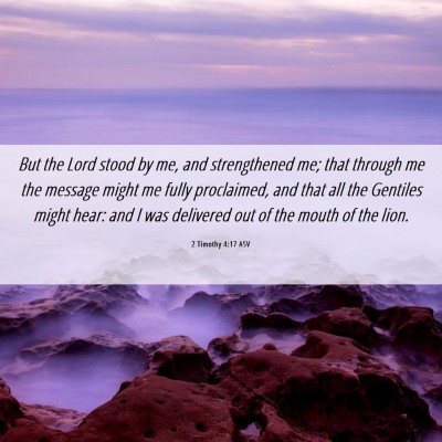 Picture 06 - 2 Timothy 4:17 ASV - But the Lord stood by me, and strengthened me; - Bible Verse Picture