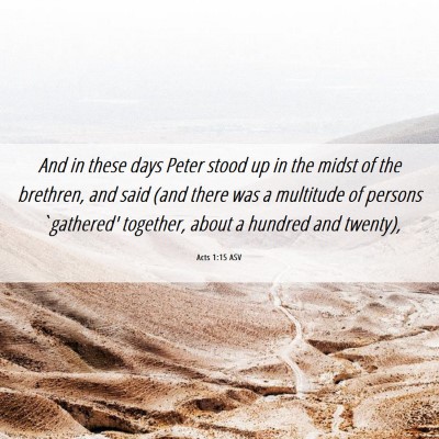 Picture 06 - Acts 1:15 ASV - And in these days Peter stood up in the midst of - Bible Verse Picture
