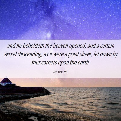 Picture 06 - Acts 10:11 ASV - and he beholdeth the heaven opened, and a certain - Bible Verse Picture