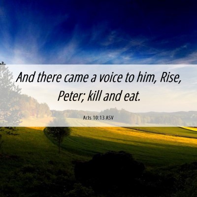Picture 06 - Acts 10:13 ASV - And there came a voice to him, Rise, Peter; kill - Bible Verse Picture