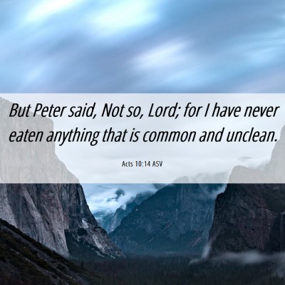 Picture 06 - Acts 10:14 ASV - But Peter said, Not so, Lord; for I have never - Bible Verse Picture