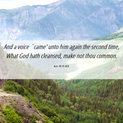 Picture 06 - Acts 10:15 ASV - And a voice `came' unto him again the second - Bible Verse Picture