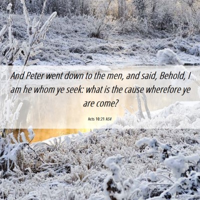 Picture 06 - Acts 10:21 ASV - And Peter went down to the men, and said, Behold, - Bible Verse Picture
