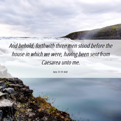 Picture 06 - Acts 11:11 ASV - And behold, forthwith three men stood before the - Bible Verse Picture