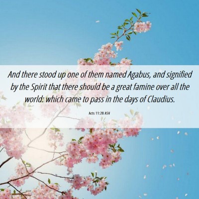 Picture 06 - Acts 11:28 ASV - And there stood up one of them named Agabus, and - Bible Verse Picture