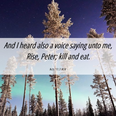 Picture 06 - Acts 11:7 ASV - And I heard also a voice saying unto me, Rise, - Bible Verse Picture