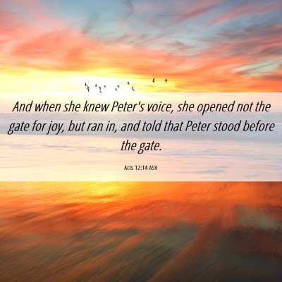 Picture 06 - Acts 12:14 ASV - And when she knew Peter's voice, she opened not - Bible Verse Picture