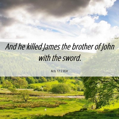 Picture 06 - Acts 12:2 ASV - And he killed James the brother of John with the - Bible Verse Picture