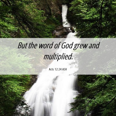 Picture 06 - Acts 12:24 ASV - But the word of God grew and - Bible Verse Picture