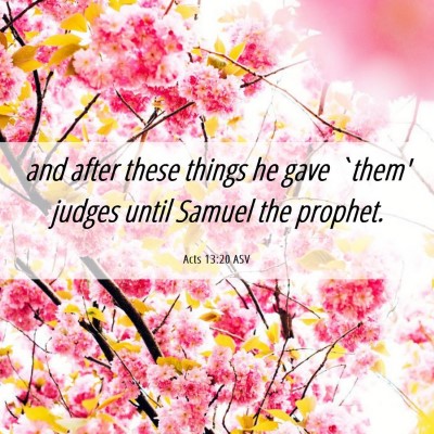 Picture 06 - Acts 13:20 ASV - and after these things he gave `them' judges - Bible Verse Picture