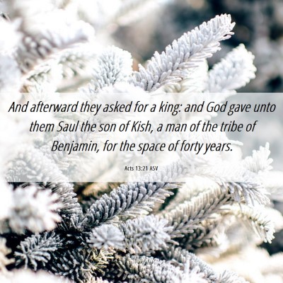 Picture 06 - Acts 13:21 ASV - And afterward they asked for a king: and God gave - Bible Verse Picture
