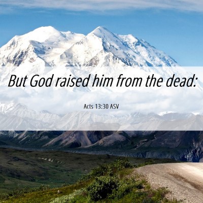 Picture 06 - Acts 13:30 ASV - But God raised him from the - Bible Verse Picture