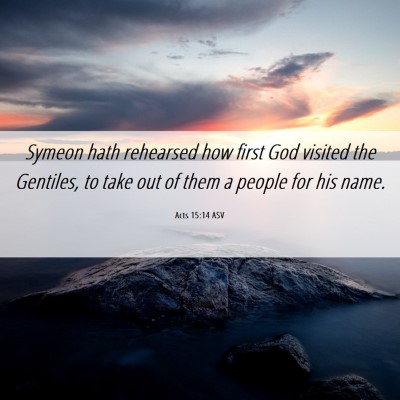 Picture 06 - Acts 15:14 ASV - Symeon hath rehearsed how first God visited the - Bible Verse Picture
