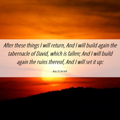 Picture 06 - Acts 15:16 ASV - After these things I will return, And I will - Bible Verse Picture