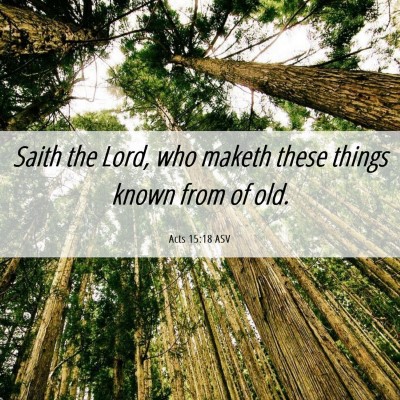 Picture 06 - Acts 15:18 ASV - Saith the Lord, who maketh these things known - Bible Verse Picture