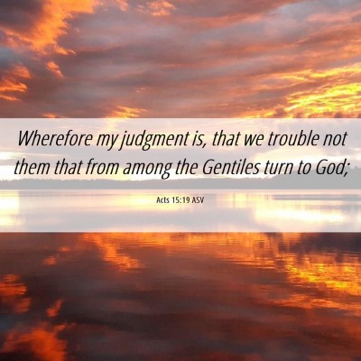 Picture 06 - Acts 15:19 ASV - Wherefore my judgment is, that we trouble not - Bible Verse Picture