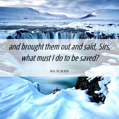 Picture 06 - Acts 16:30 ASV - and brought them out and said, Sirs, what must I - Bible Verse Picture