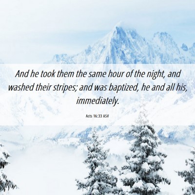 Picture 06 - Acts 16:33 ASV - And he took them the same hour of the night, and - Bible Verse Picture