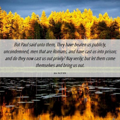 Picture 06 - Acts 16:37 ASV - But Paul said unto them, They have beaten us - Bible Verse Picture