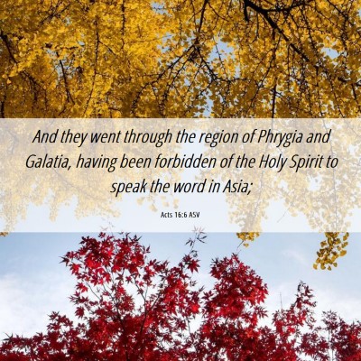 Picture 06 - Acts 16:6 ASV - And they went through the region of Phrygia and - Bible Verse Picture