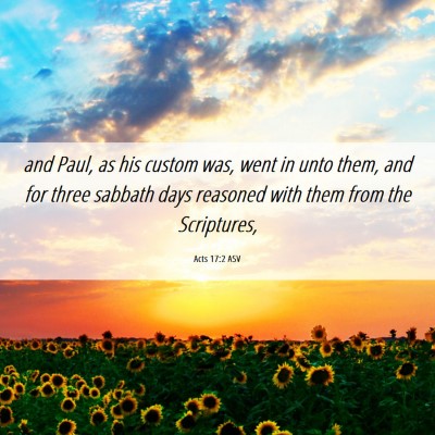 Picture 06 - Acts 17:2 ASV - and Paul, as his custom was, went in unto them, - Bible Verse Picture
