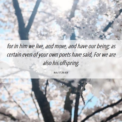 Picture 06 - Acts 17:28 ASV - for in him we live, and move, and have our being; - Bible Verse Picture