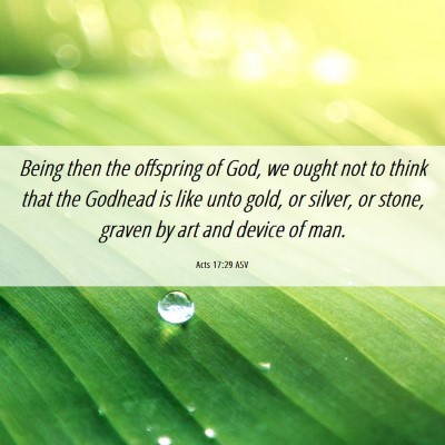 Picture 06 - Acts 17:29 ASV - Being then the offspring of God, we ought not to - Bible Verse Picture
