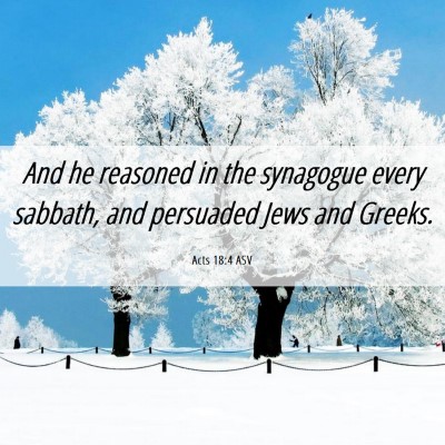 Picture 06 - Acts 18:4 ASV - And he reasoned in the synagogue every sabbath, - Bible Verse Picture
