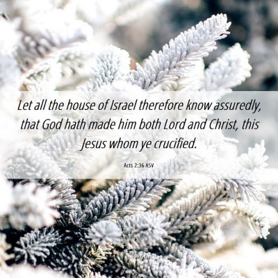 Picture 06 - Acts 2:36 ASV - Let all the house of Israel therefore know - Bible Verse Picture