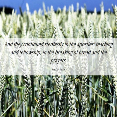 Picture 06 - Acts 2:42 ASV - And they continued stedfastly in the apostles' - Bible Verse Picture