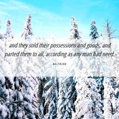 Picture 06 - Acts 2:45 ASV - and they sold their possessions and goods, and - Bible Verse Picture