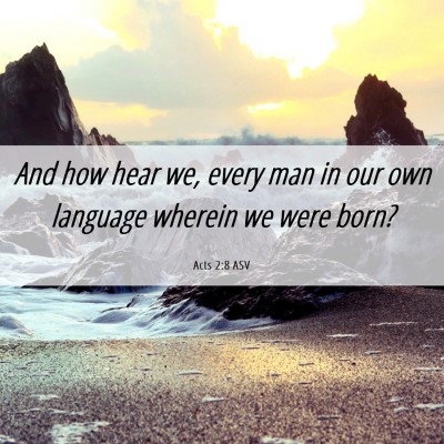 Picture 06 - Acts 2:8 ASV - And how hear we, every man in our own language - Bible Verse Picture