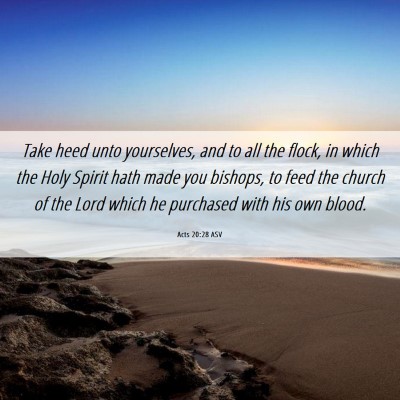 Picture 06 - Acts 20:28 ASV - Take heed unto yourselves, and to all the flock, - Bible Verse Picture