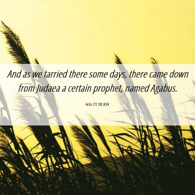 Picture 06 - Acts 21:10 ASV - And as we tarried there some days, there came - Bible Verse Picture