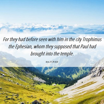 Picture 06 - Acts 21:29 ASV - For they had before seen with him in the city - Bible Verse Picture