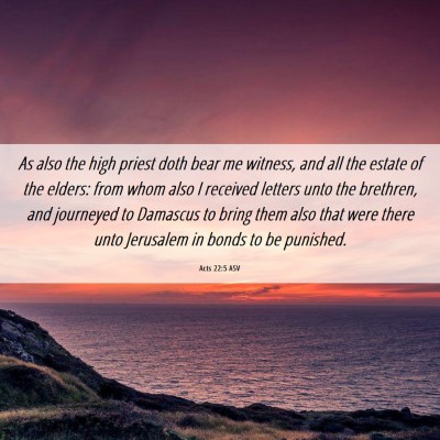 Picture 06 - Acts 22:5 ASV - As also the high priest doth bear me witness, and - Bible Verse Picture