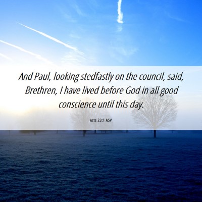 Picture 06 - Acts 23:1 ASV - And Paul, looking stedfastly on the council, - Bible Verse Picture