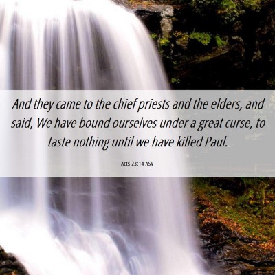 Picture 06 - Acts 23:14 ASV - And they came to the chief priests and the - Bible Verse Picture
