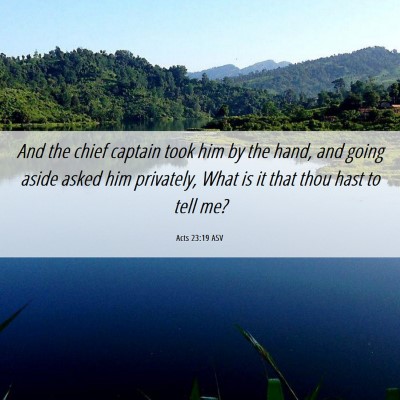 Picture 06 - Acts 23:19 ASV - And the chief captain took him by the hand, and - Bible Verse Picture