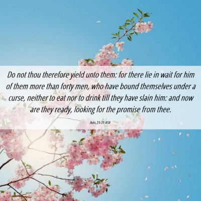 Picture 06 - Acts 23:21 ASV - Do not thou therefore yield unto them: for there - Bible Verse Picture