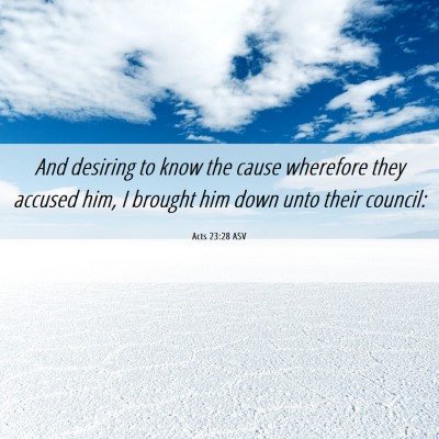 Picture 06 - Acts 23:28 ASV - And desiring to know the cause wherefore they - Bible Verse Picture