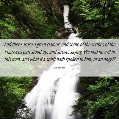 Picture 06 - Acts 23:9 ASV - And there arose a great clamor: and some of the - Bible Verse Picture