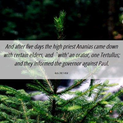 Picture 06 - Acts 24:1 ASV - And after five days the high priest Ananias came - Bible Verse Picture